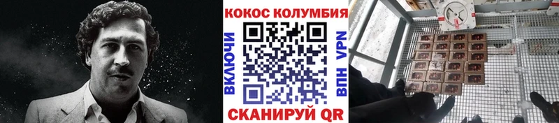 купить наркотик  Железногорск  COCAIN Эквадор 