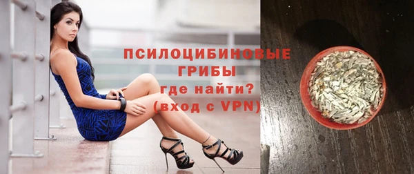 шишки Вяземский