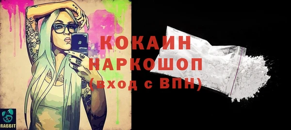 шишки Вяземский