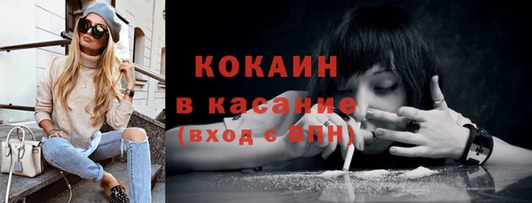шишки Вяземский