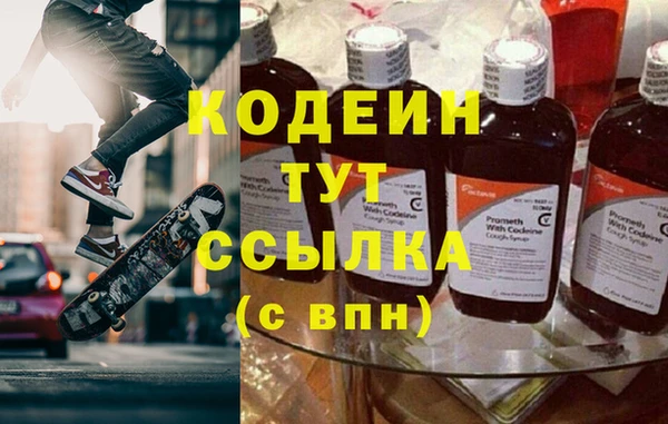 шишки Вяземский