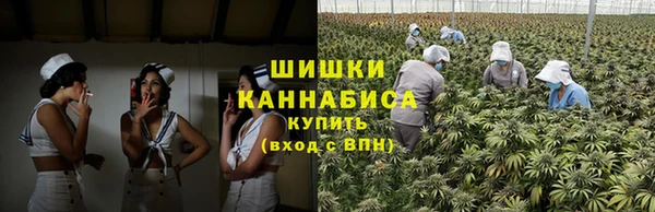 шишки Вяземский