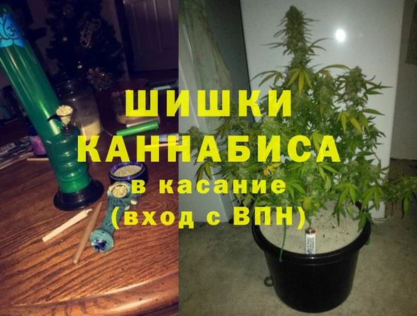 шишки Вяземский